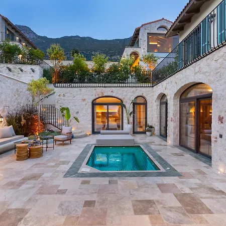 Thalia, A Joyful Serenity Unmasked * カシュ