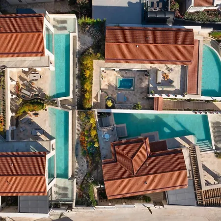 Thalia, A Joyful Serenity Unmasked * カシュ